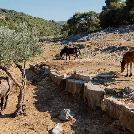 Pasika Glamping - Romantic Getaway For Two On Brac Island Pucisca